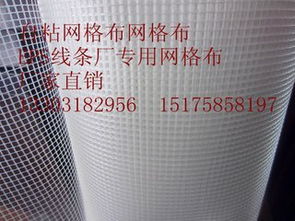 EPS線條自粘網格布價格及生產廠家指南 安平縣君泰絲網制品廠的專業解析